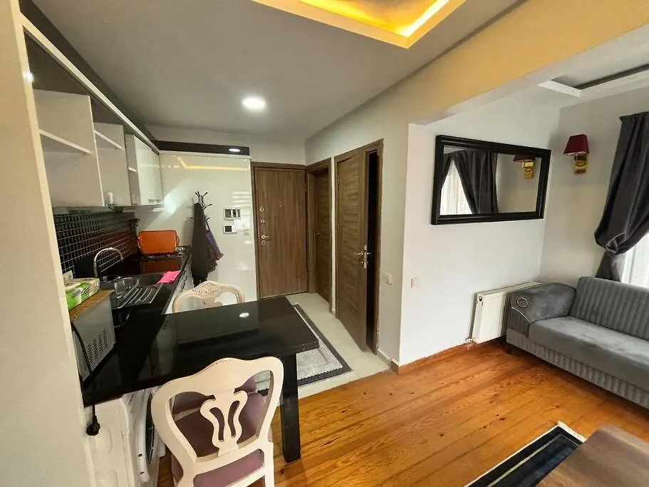 Apartment Spacious And Cozy Flat Near Taksim Square No3 Istanbul