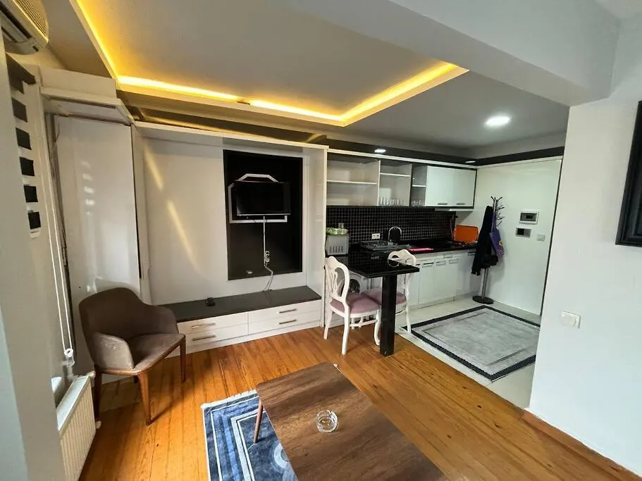 Spacious And Cozy Flat Near Taksim Square No3 Κωνσταντινούπολη