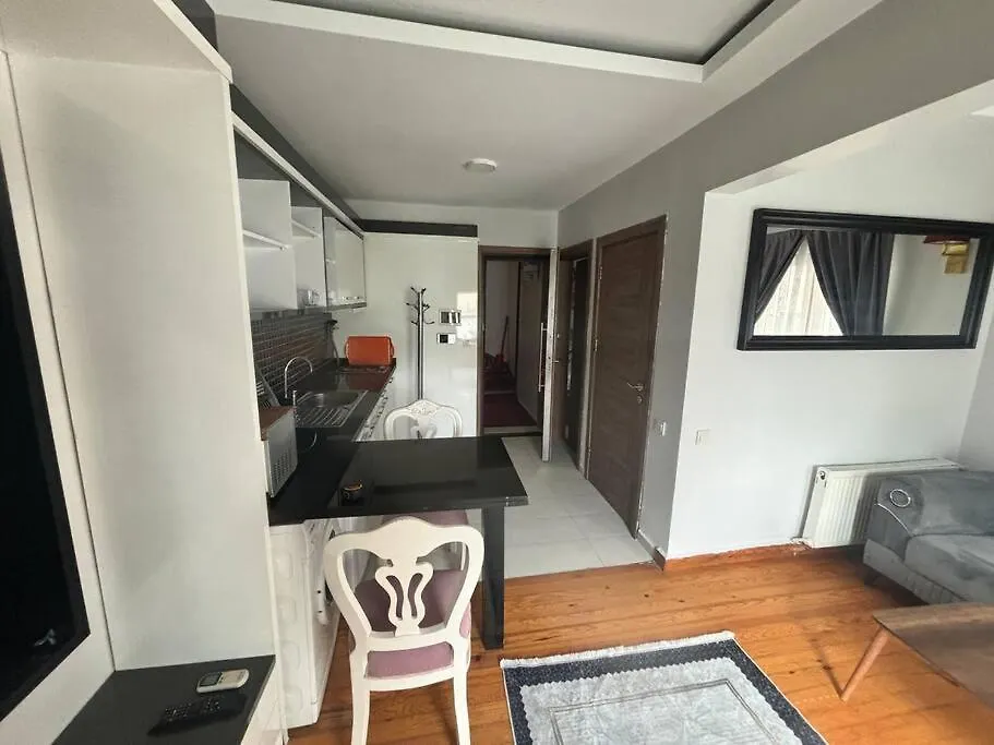 Spacious And Cozy Flat Near Taksim Square No3 Κωνσταντινούπολη 0*,  Τουρκία