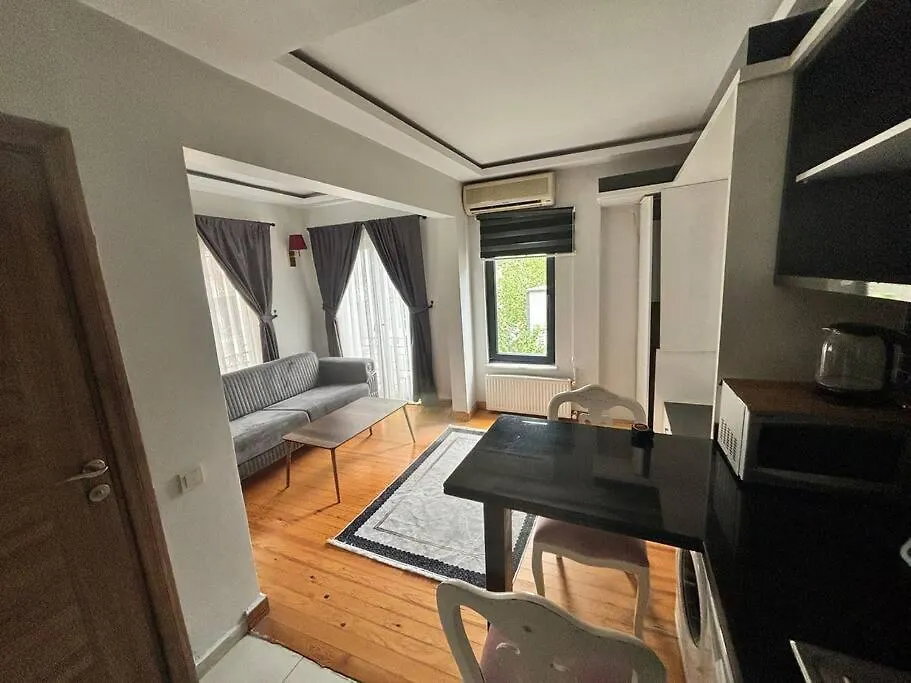 Apartment Spacious And Cozy Flat Near Taksim Square No3 Istanbul