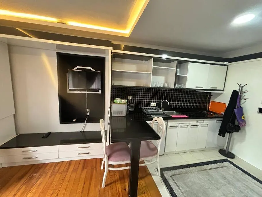 アパート Spacious And Cozy Flat Near Taksim Square No3 イスタンブール トルコ